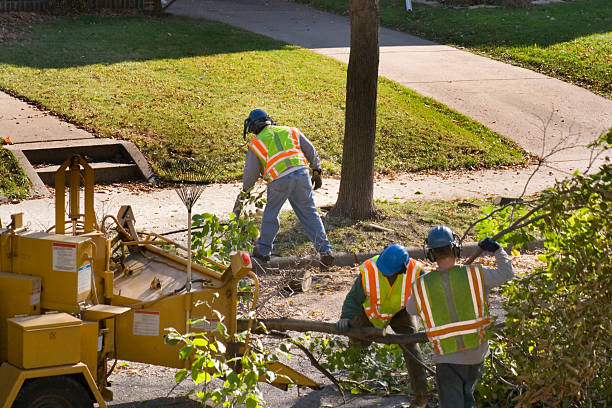 Best Arborist Consultation Services  in Oakhurst, NJ
