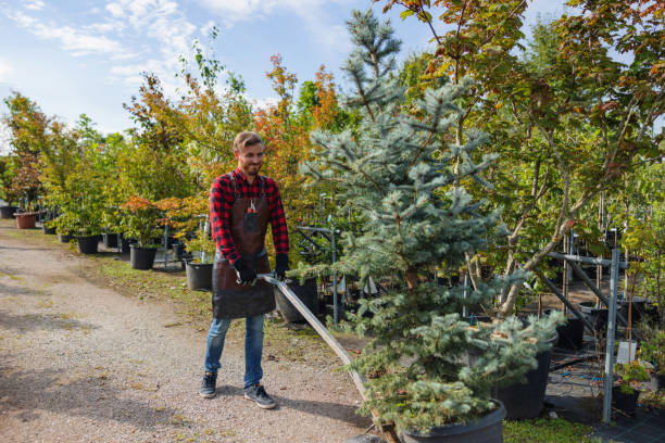 Professional Tree Removal in Oakhurst, NJ